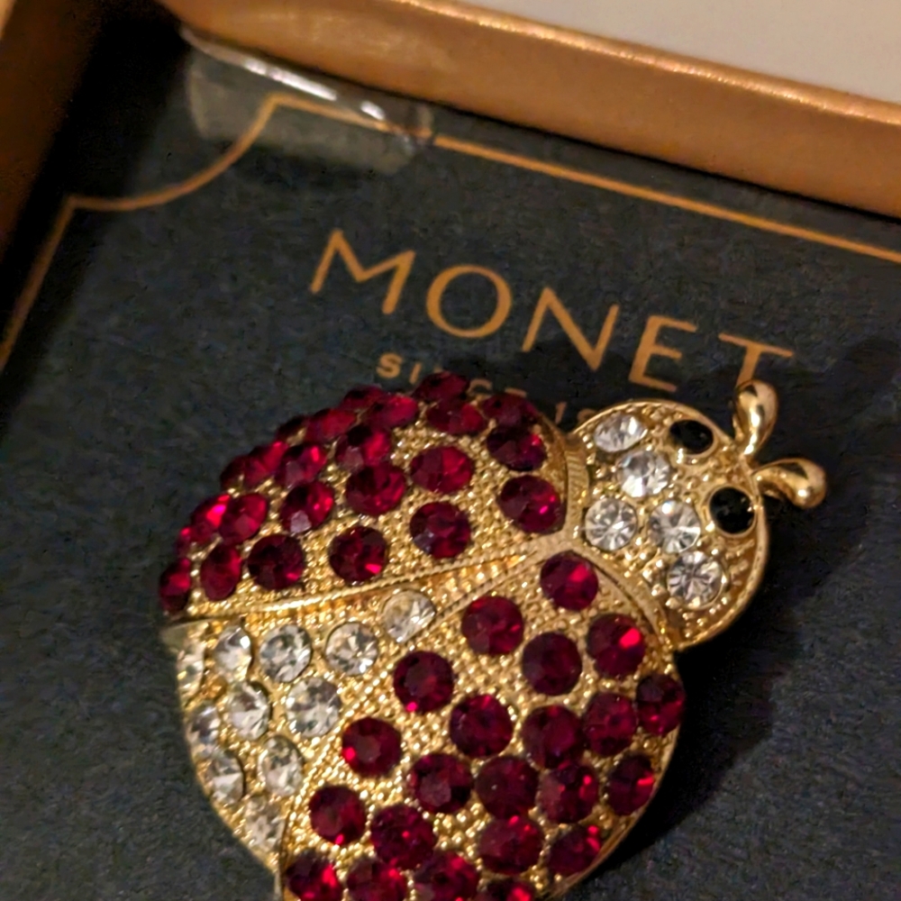Monet Brooch